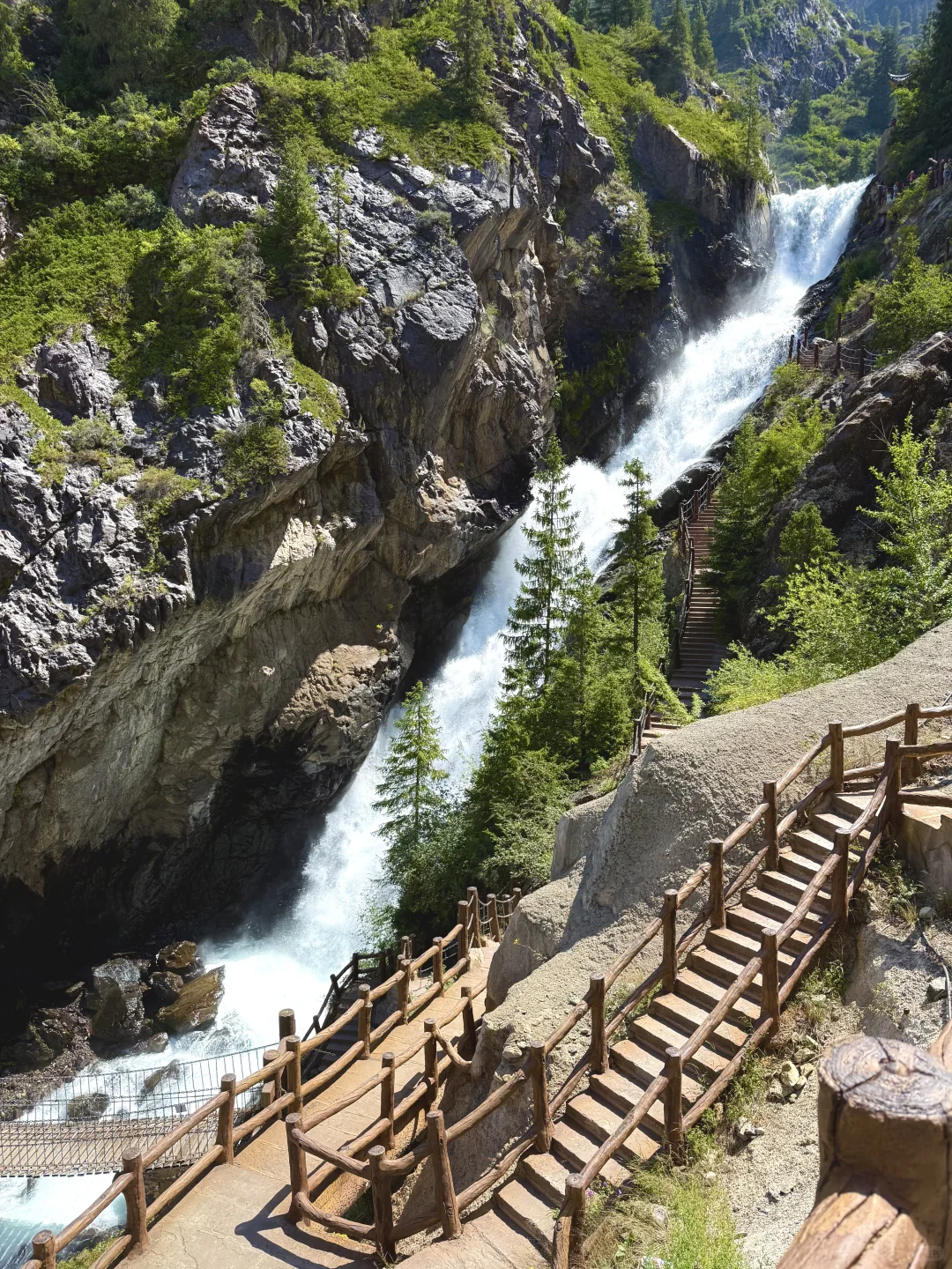 新疆旅行|天山天池懒人版两小时速玩攻略