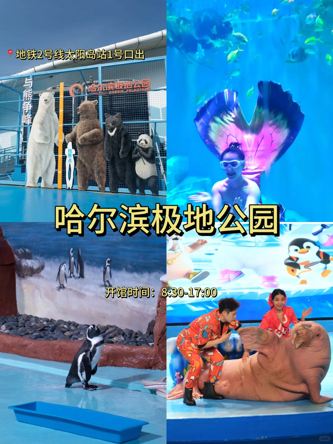 哈尔滨三天两晚!!人均500💰保姆级超全攻略