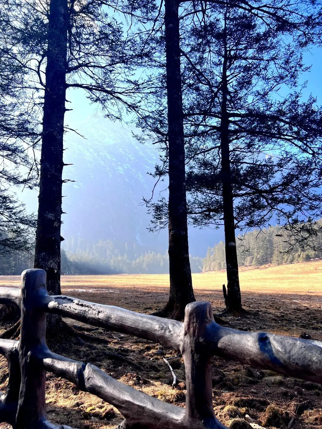 昆明-大理-丽江✈️云南四天三夜游玩指南