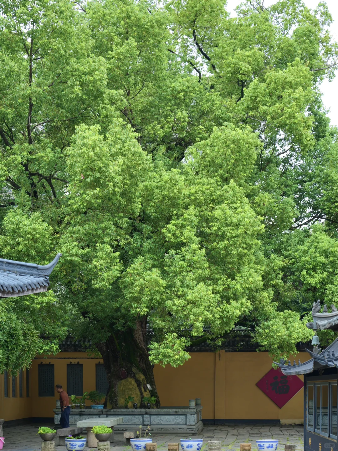 衢州,一个被低估的宝藏江南古城❗️