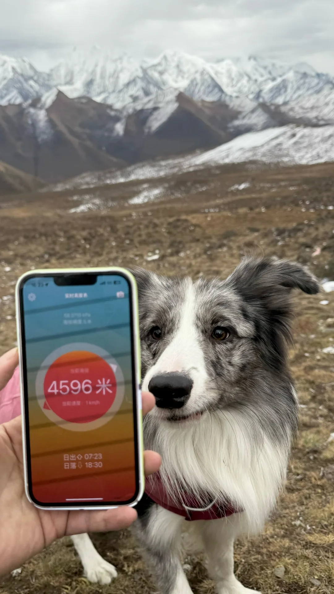 携带宠物川西旅游行前攻略(超详细版)