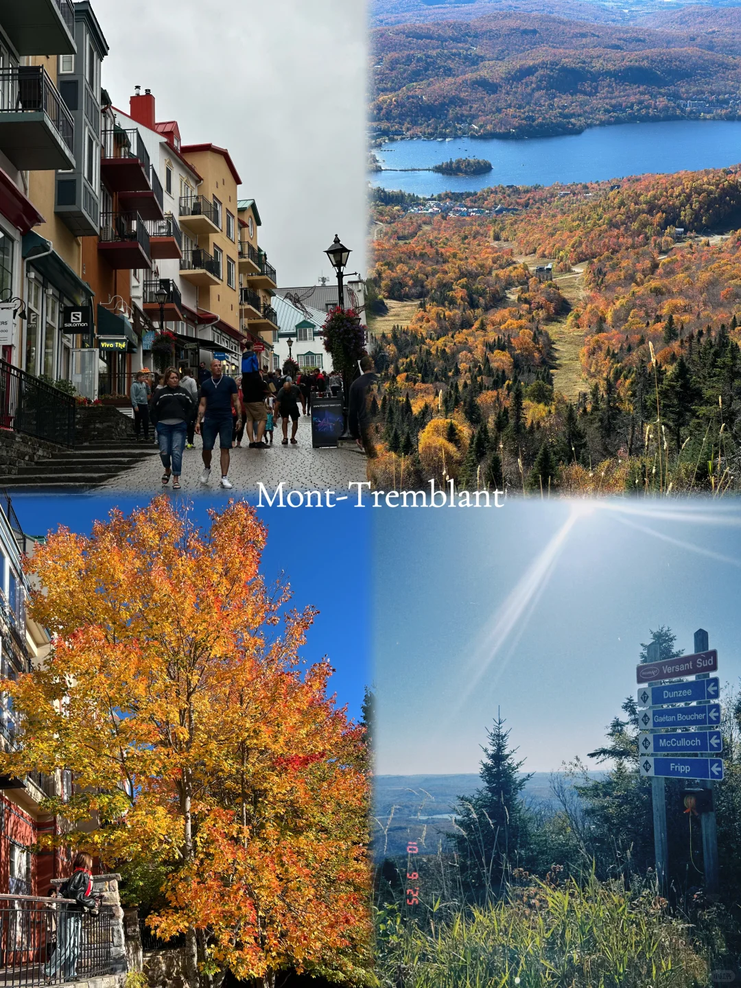 🇨🇦加东｜环线自驾游🚗附详细路线攻略-上