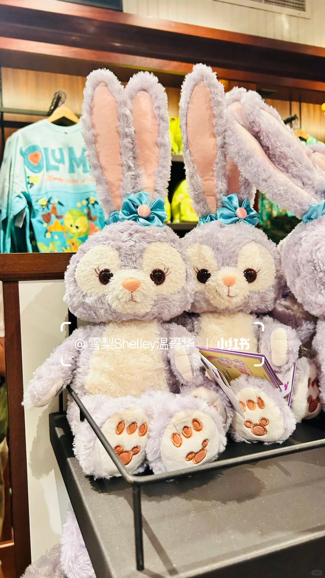 🏝️玩转夏威夷欧胡岛❗️超全攻略1️⃣ 📒💯