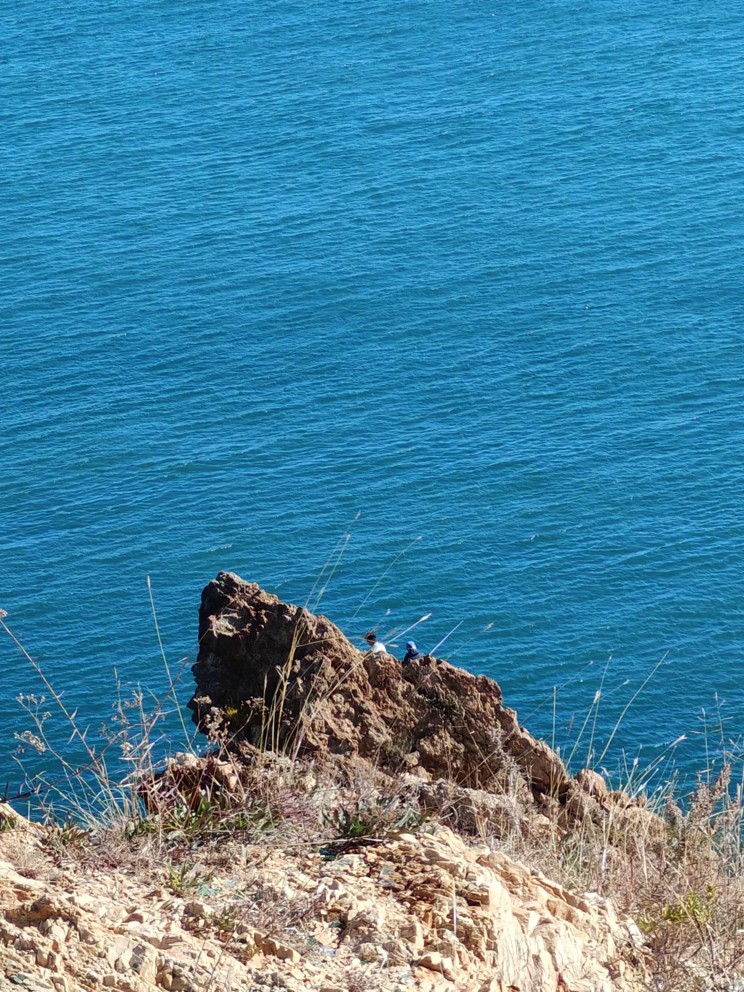 大连旅游攻略｜一人行