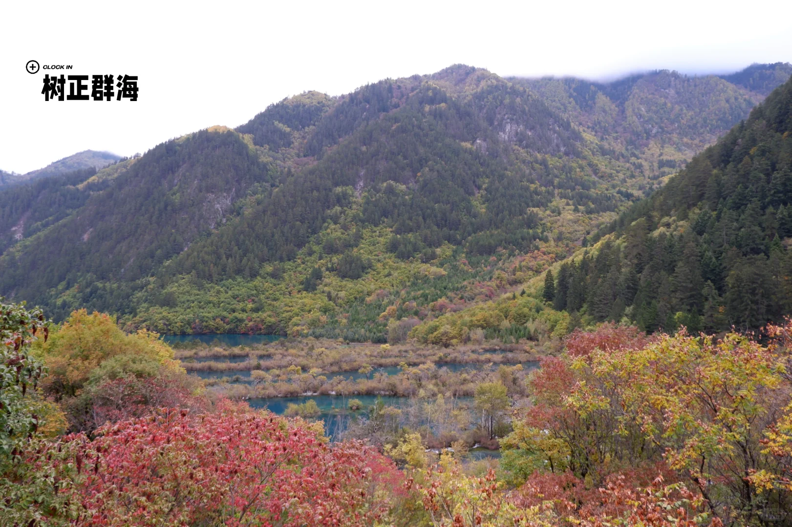 九寨沟旅游攻略，彩林季刚回，有问必答