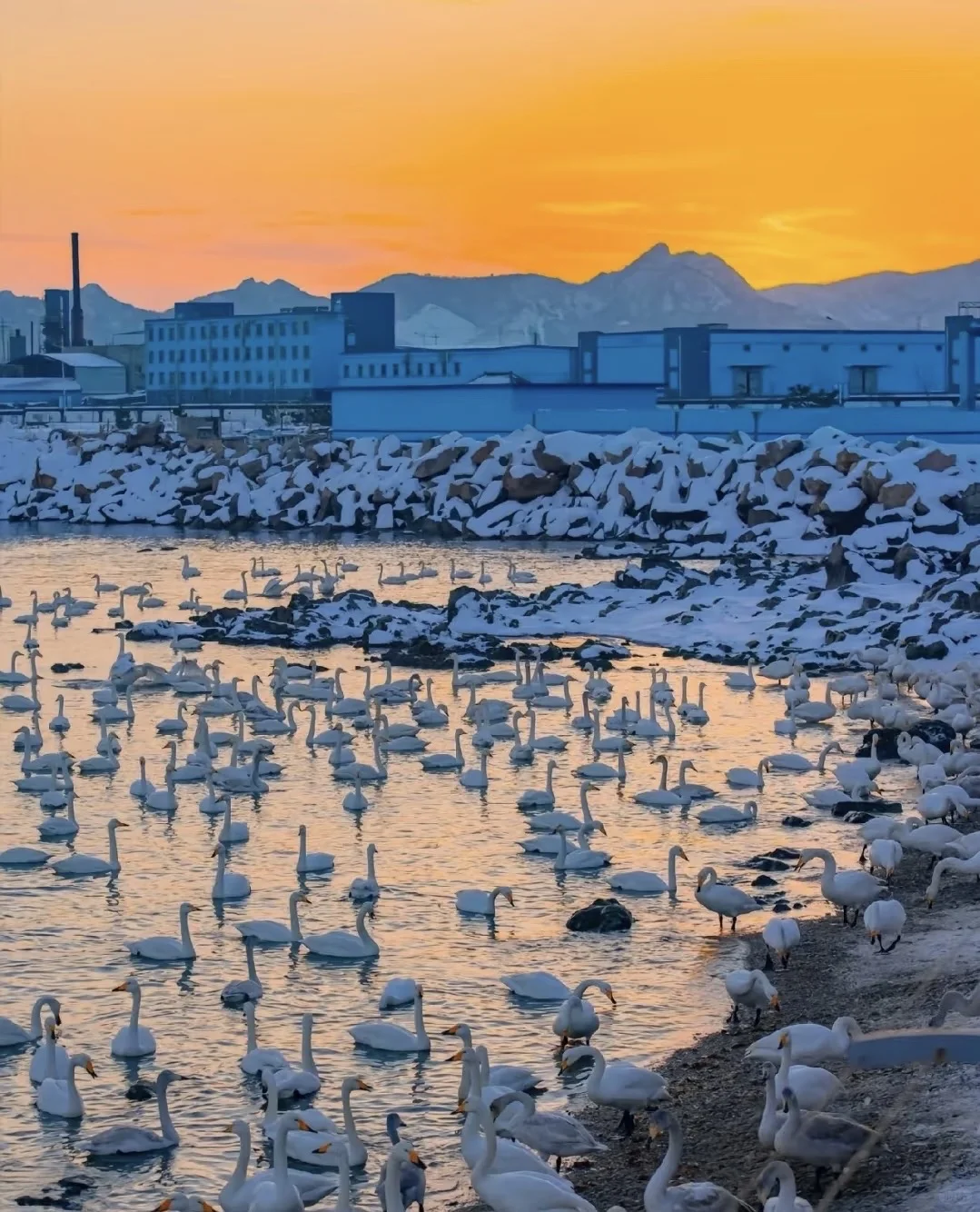 2025冬日去威海攻略