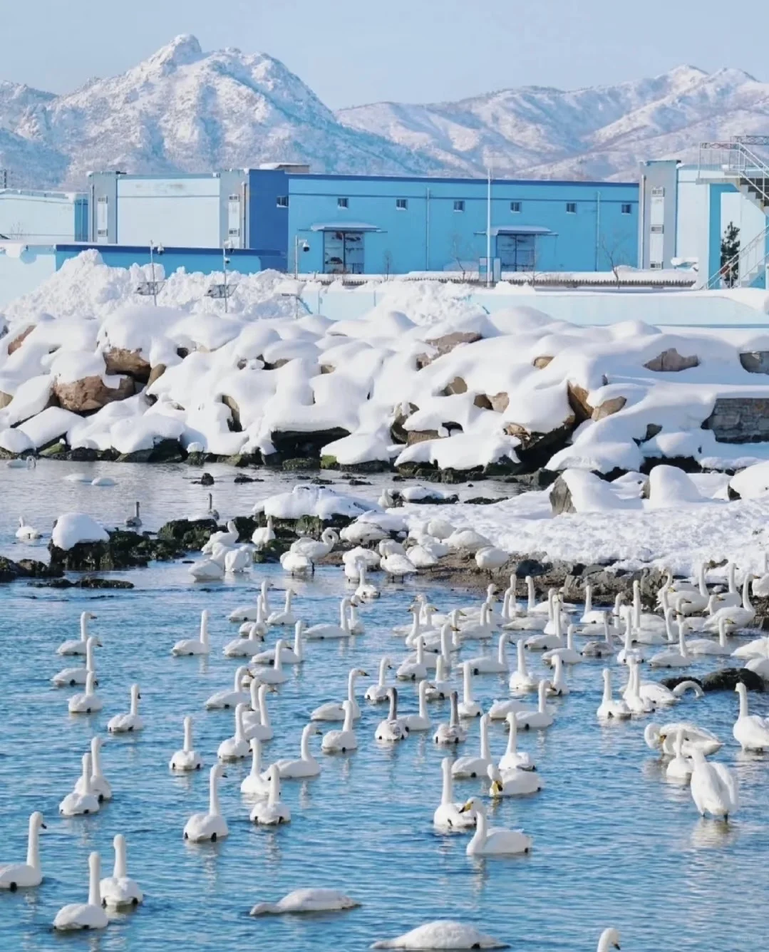 2025冬日去威海攻略