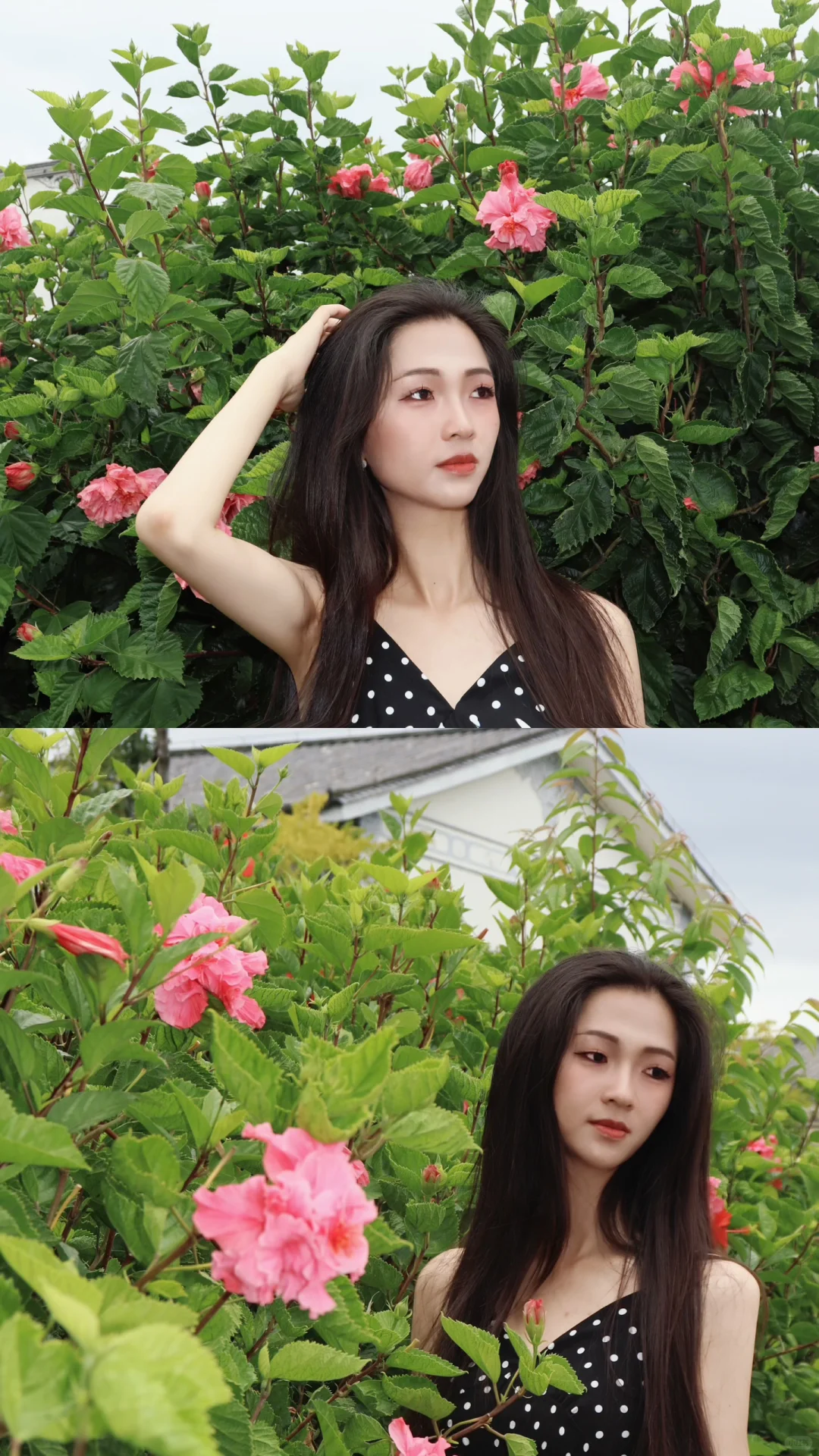 大理旅游攻略📸懒人自由行计划