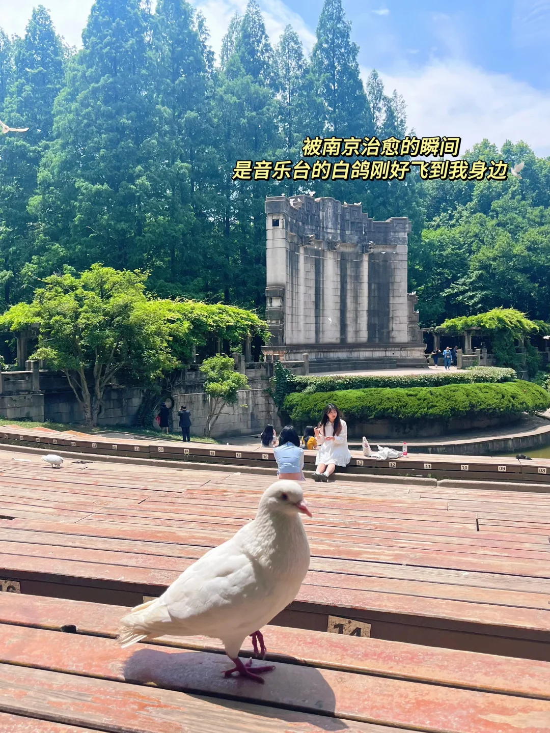 📍南京2日游｜吃住行超详细旅游攻略（懒人版）