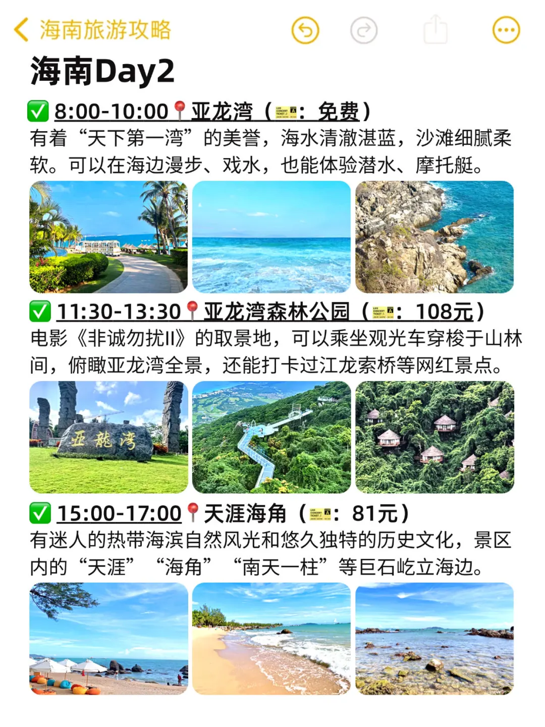 本j人对自己做的海南攻略很满意🥰