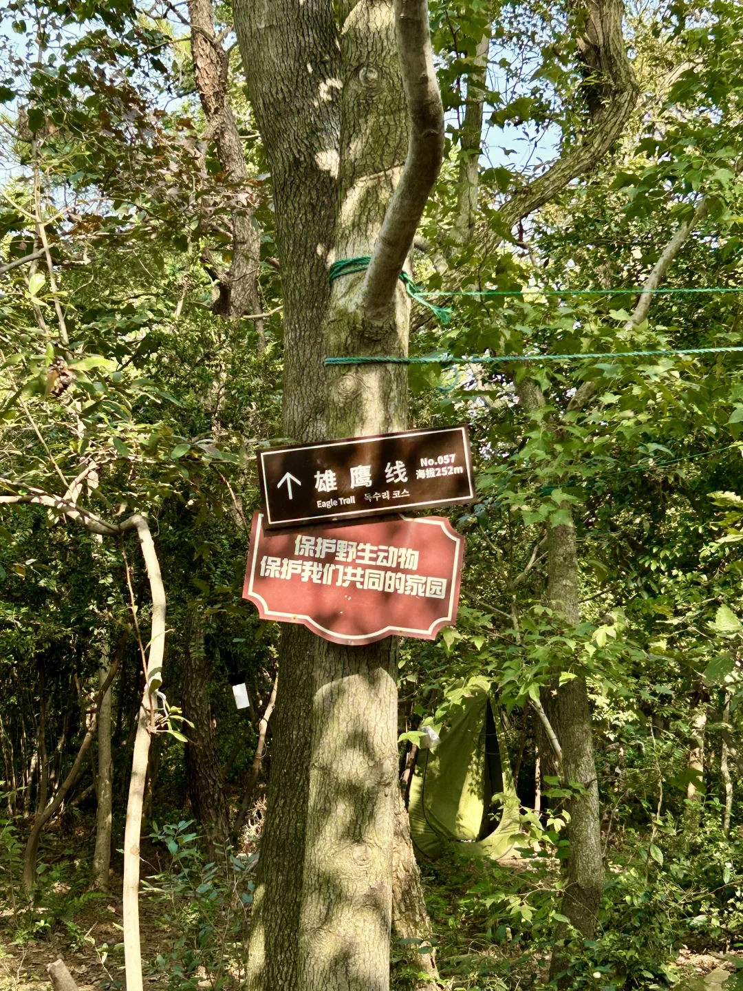 每个人都有自己的雄鹰线🦅