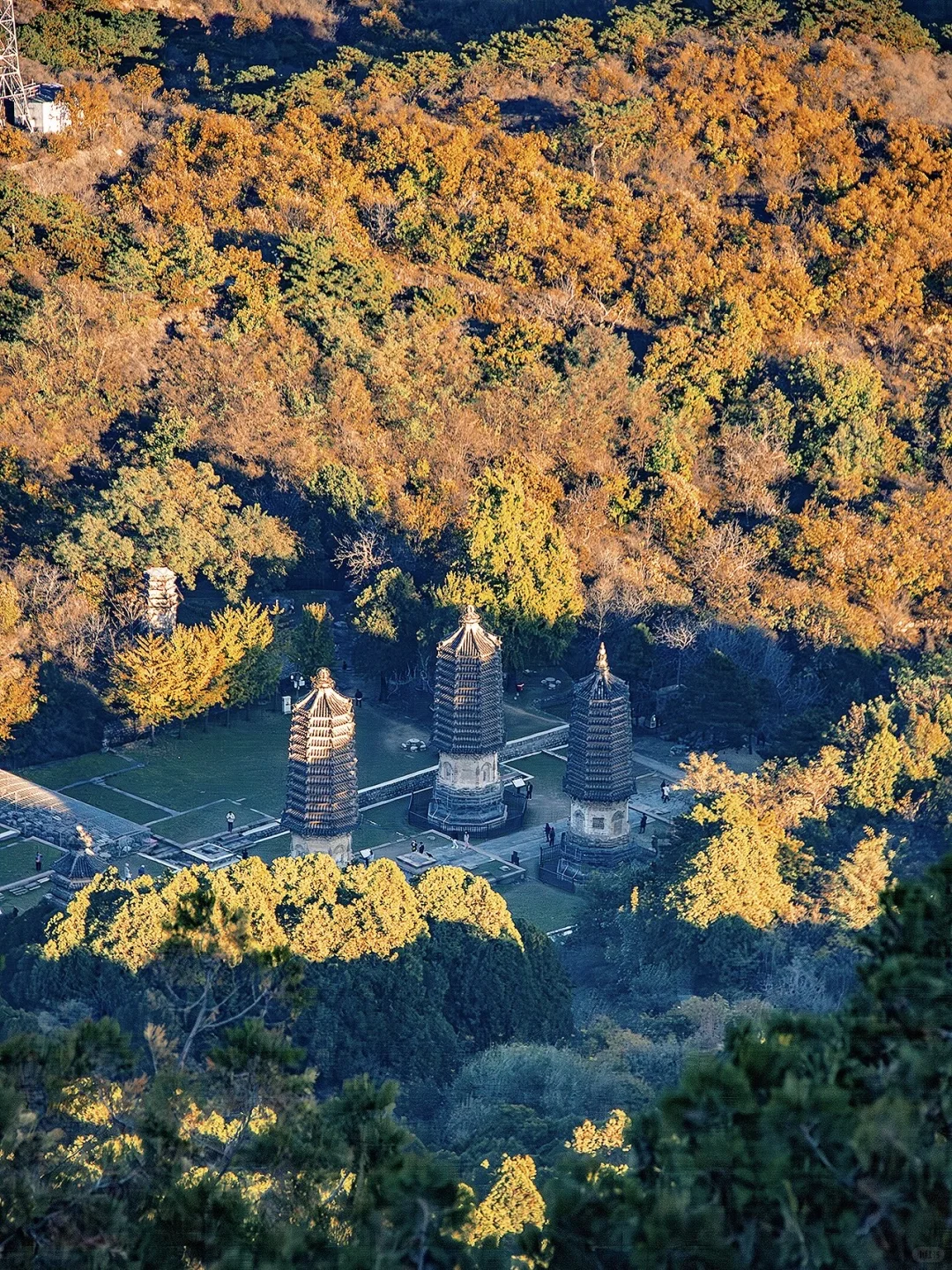 京郊1h🚗被严重低估的小众赏秋秘境