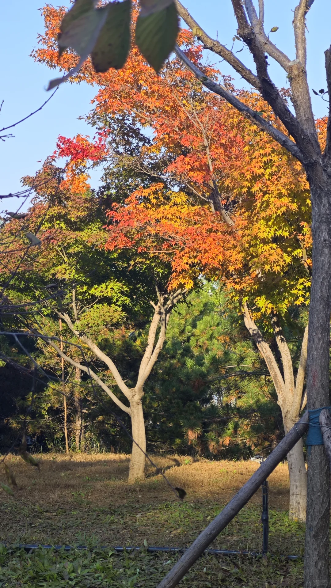 10.26易水湖实拍