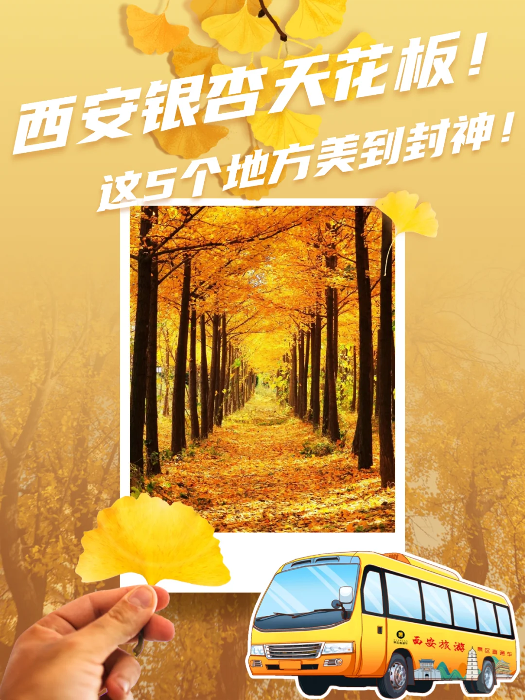 西安银杏天花板!这5️⃣个地方美到封神!