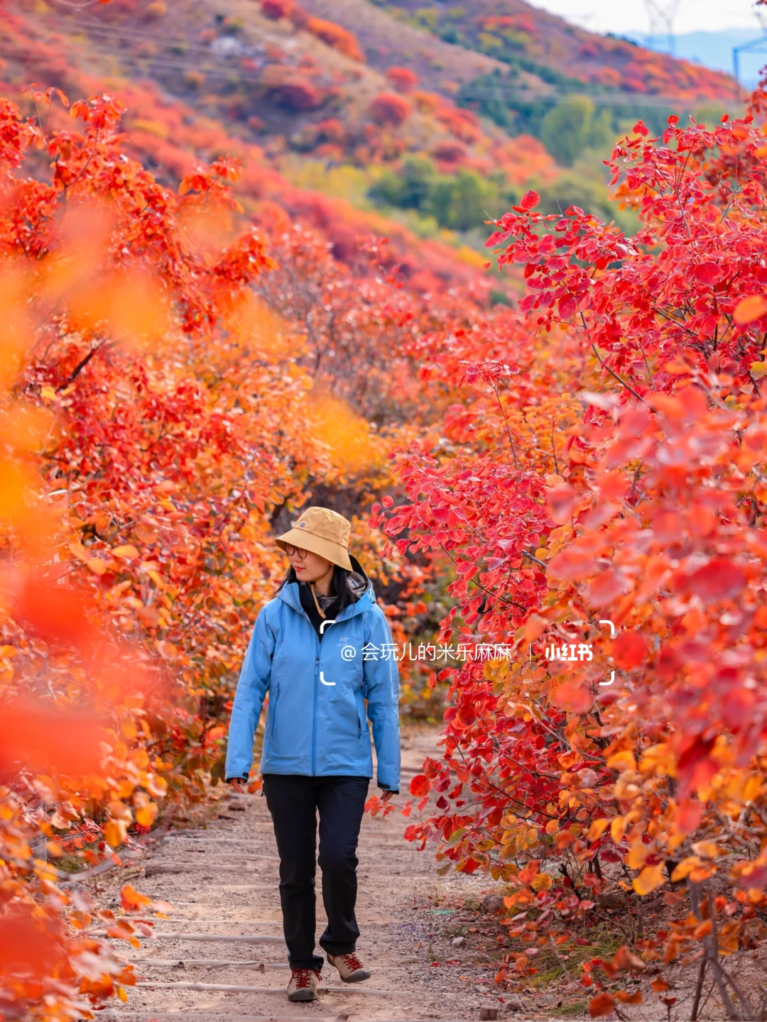 10.27北京五花山打翻调色盘!🎨老幼皆宜路线