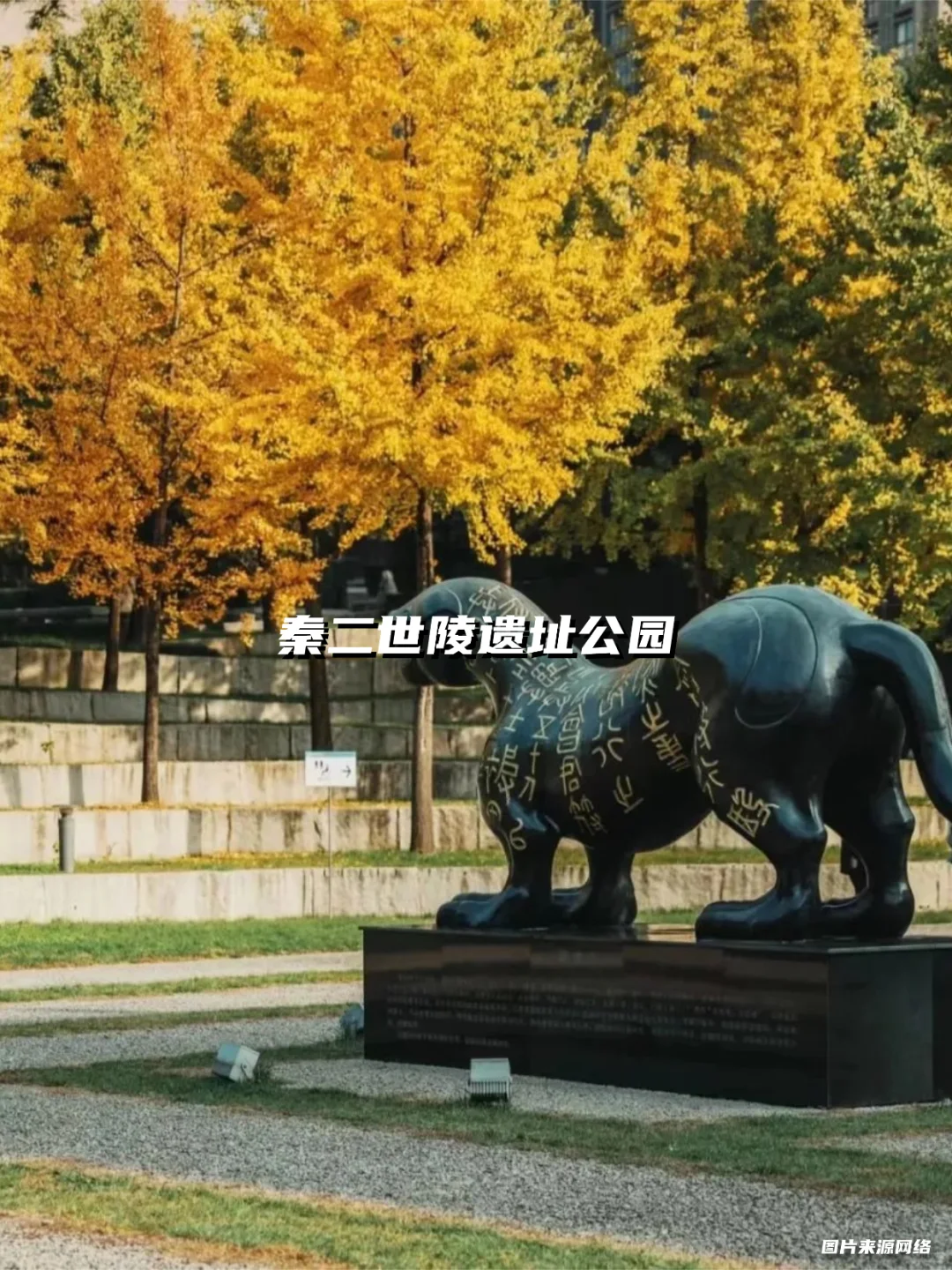 西安银杏天花板!这5️⃣个地方美到封神!