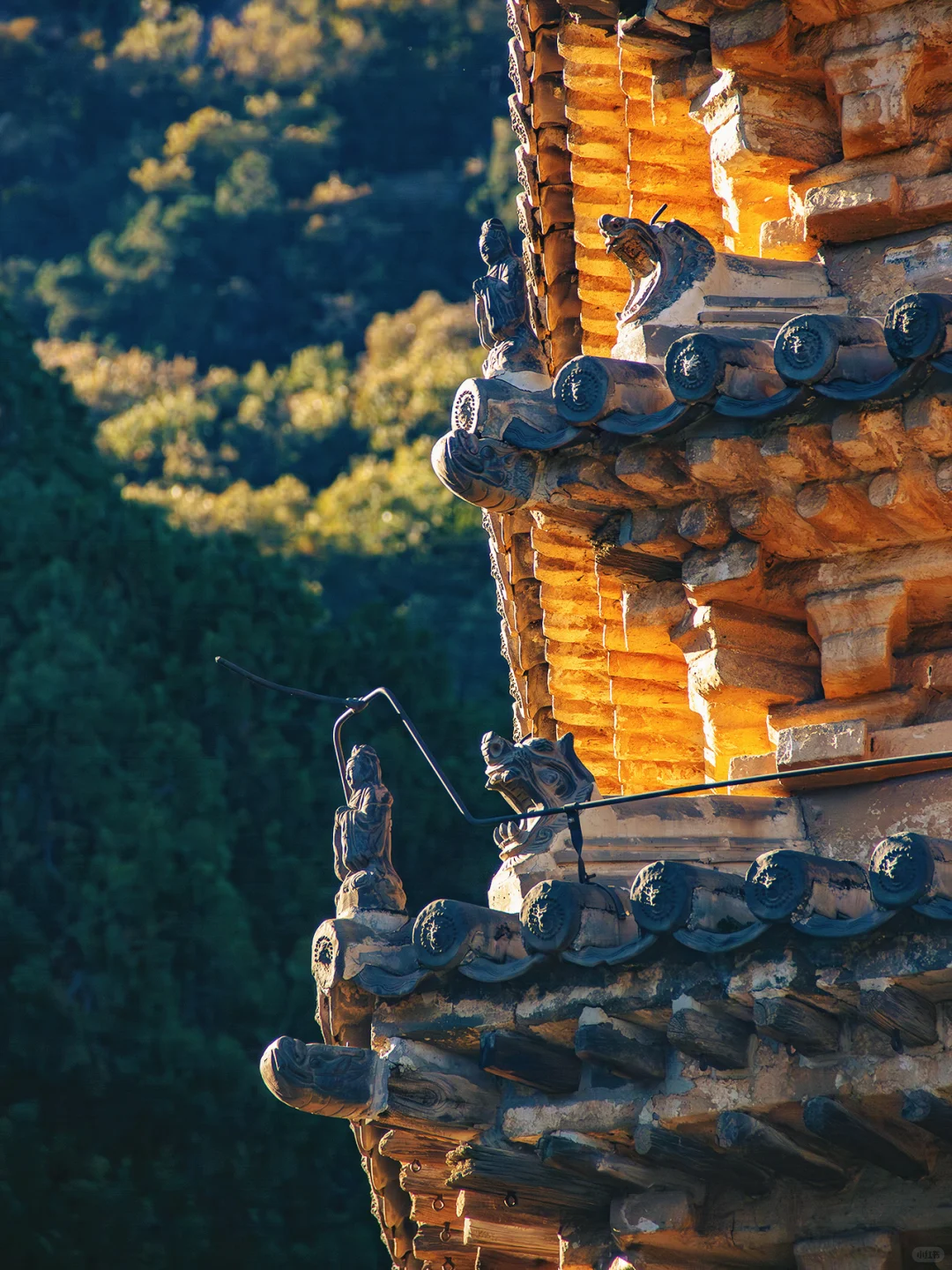 京郊1h🚗被严重低估的小众赏秋秘境