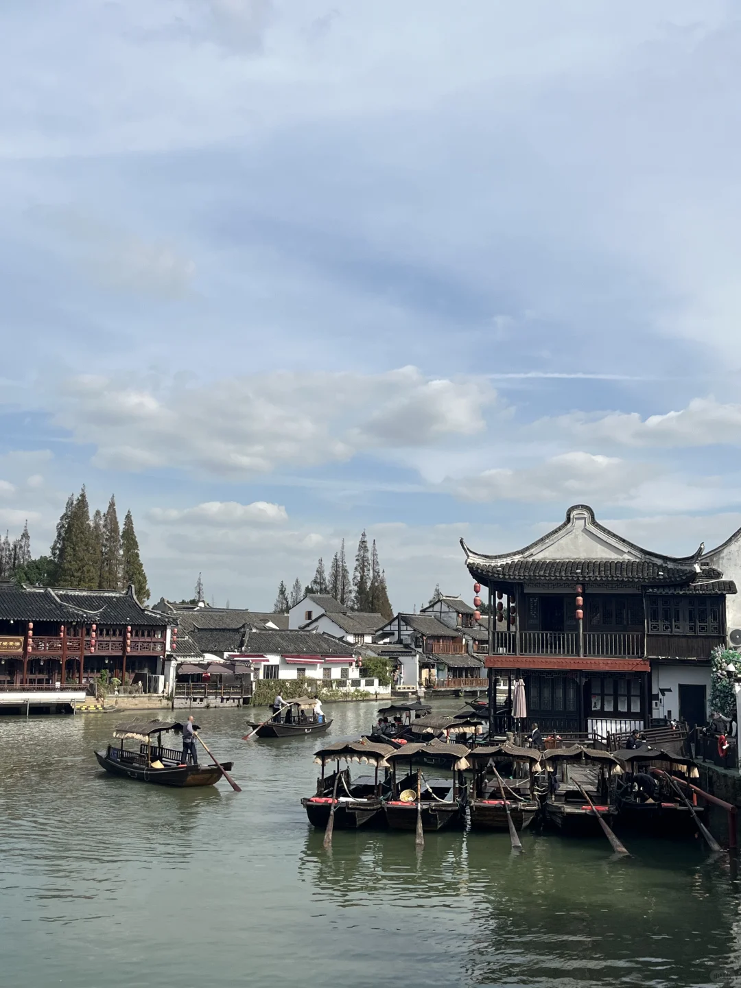 11月3日,在朱家角被桂花香腌入了味!