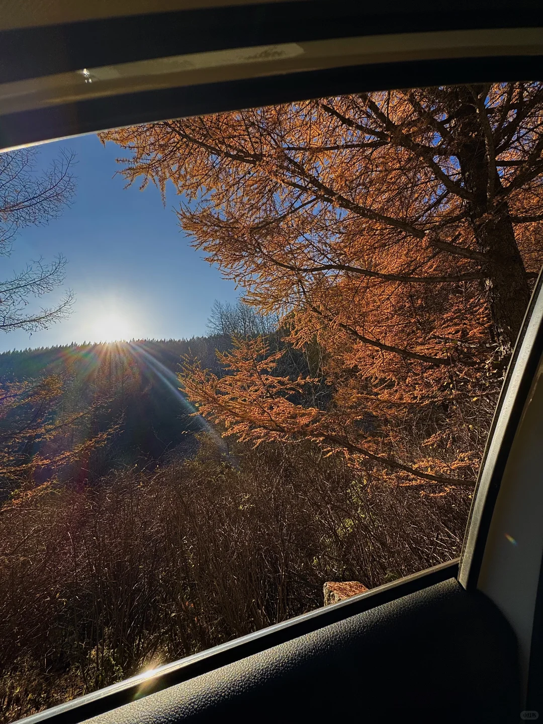 芦芽山🍁｜山西版阿勒泰秋天是最浪漫的季节