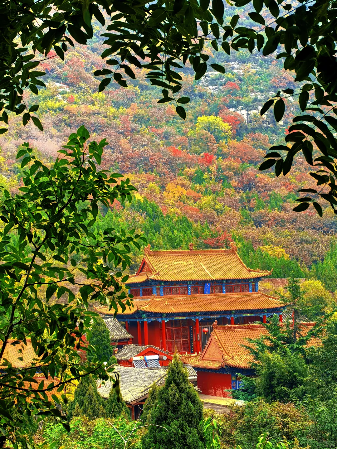 秋日佛照山赏红叶