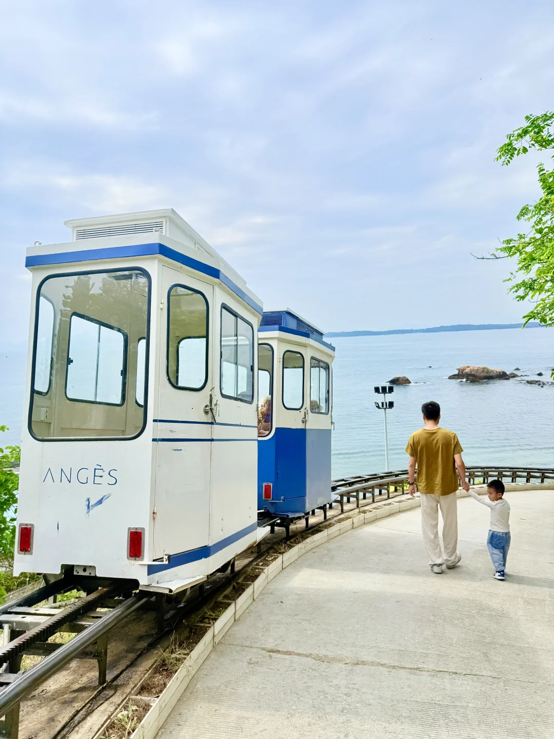 真的在深圳。。开往大海宫崎骏小火车‼️