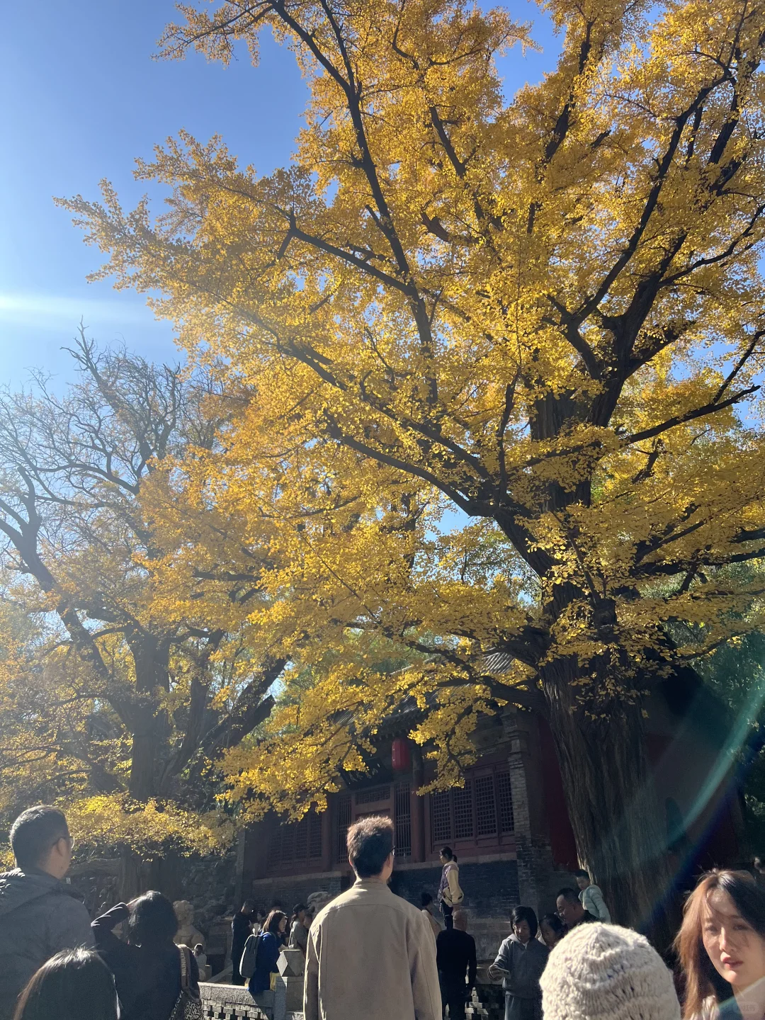 秋日和太原晋祠不要太搭❤️