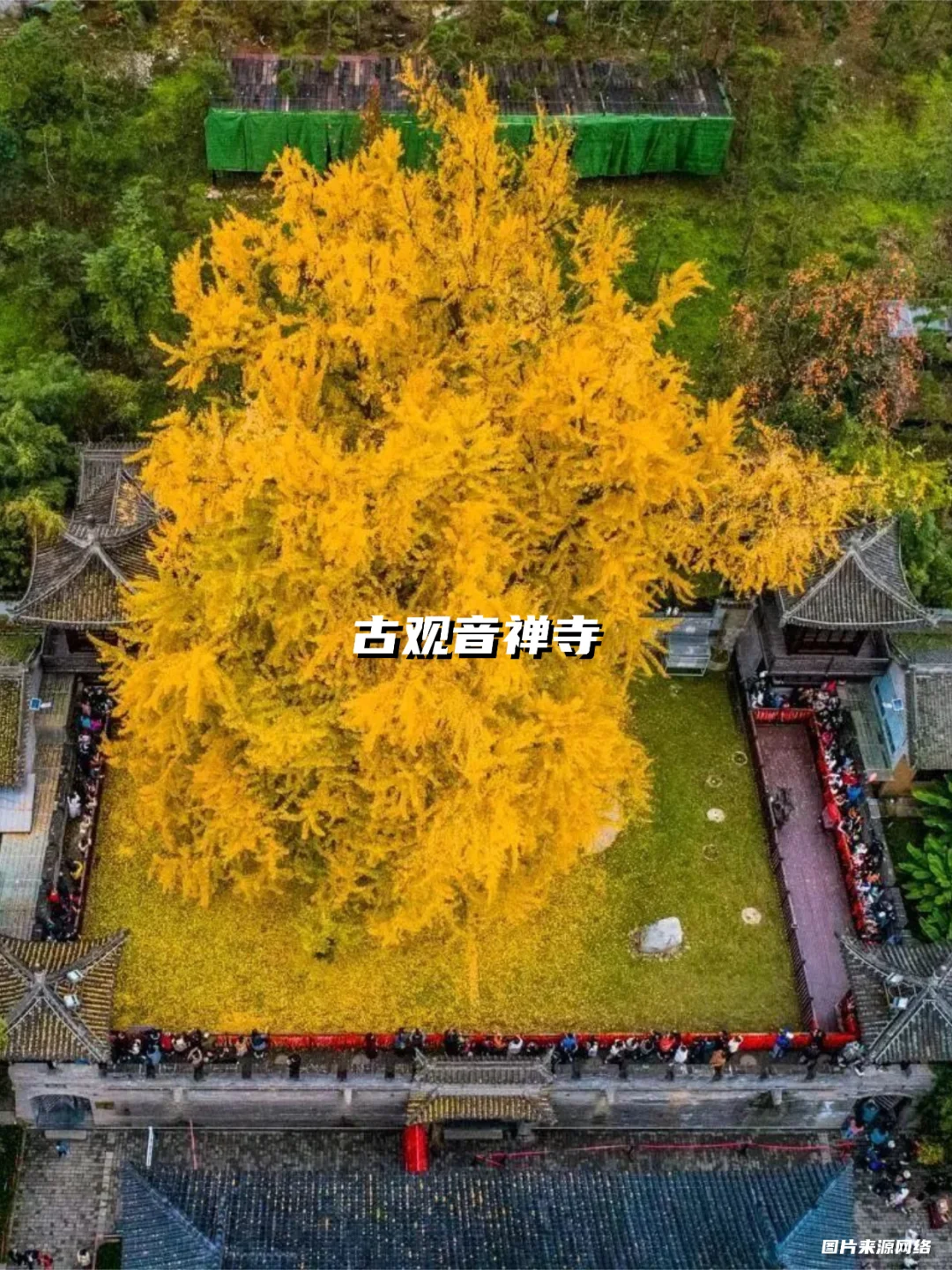 西安银杏天花板!这5️⃣个地方美到封神!