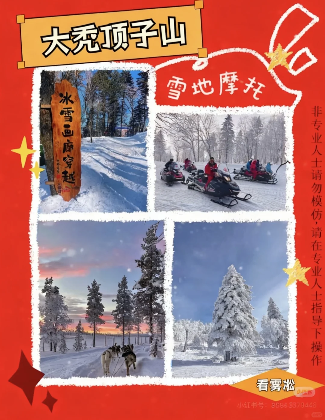 包车游～雪乡，亚布力一日游，当天往返