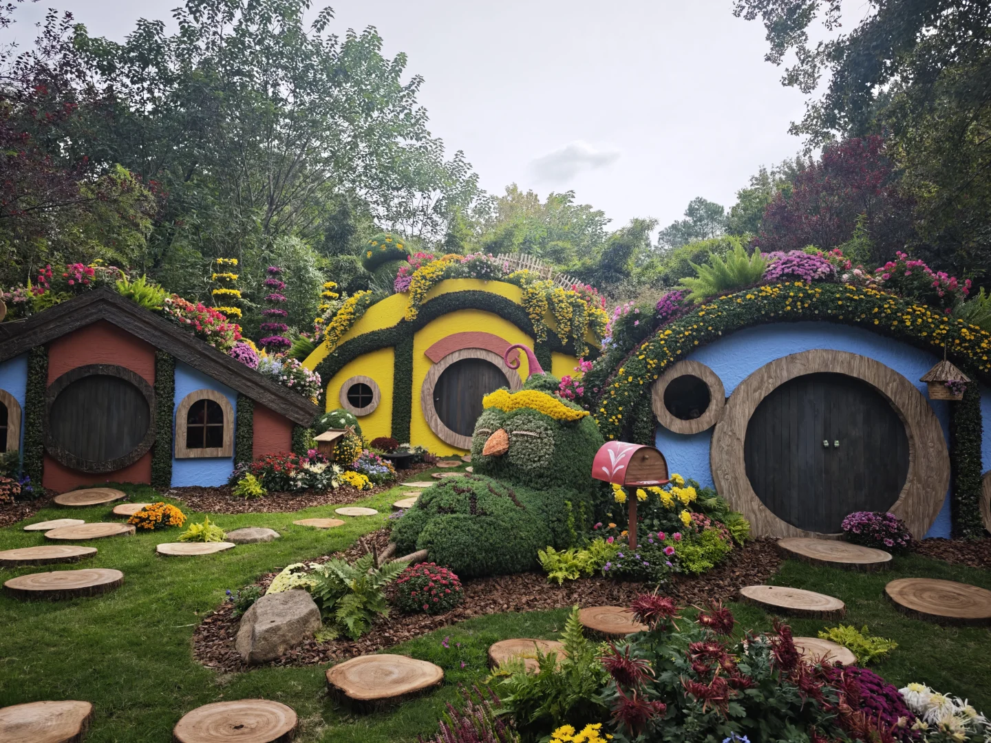 杭州植物园的菊花展,很美,再也不来了