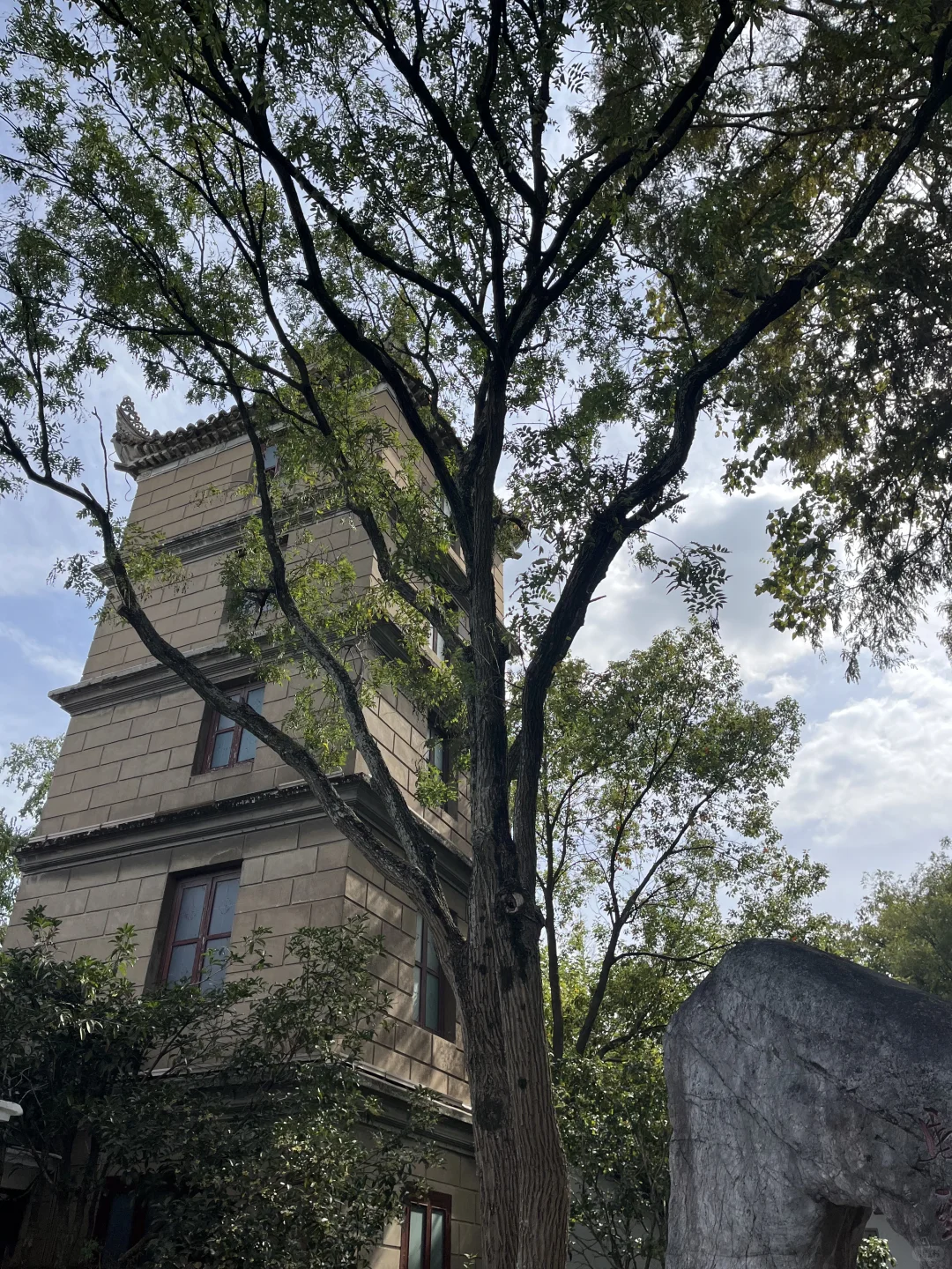 11月3日,在朱家角被桂花香腌入了味!