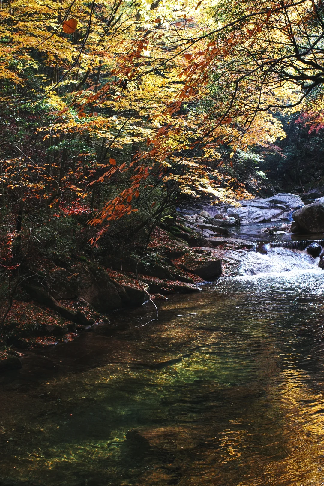 巴中的红叶真的太好拍了！