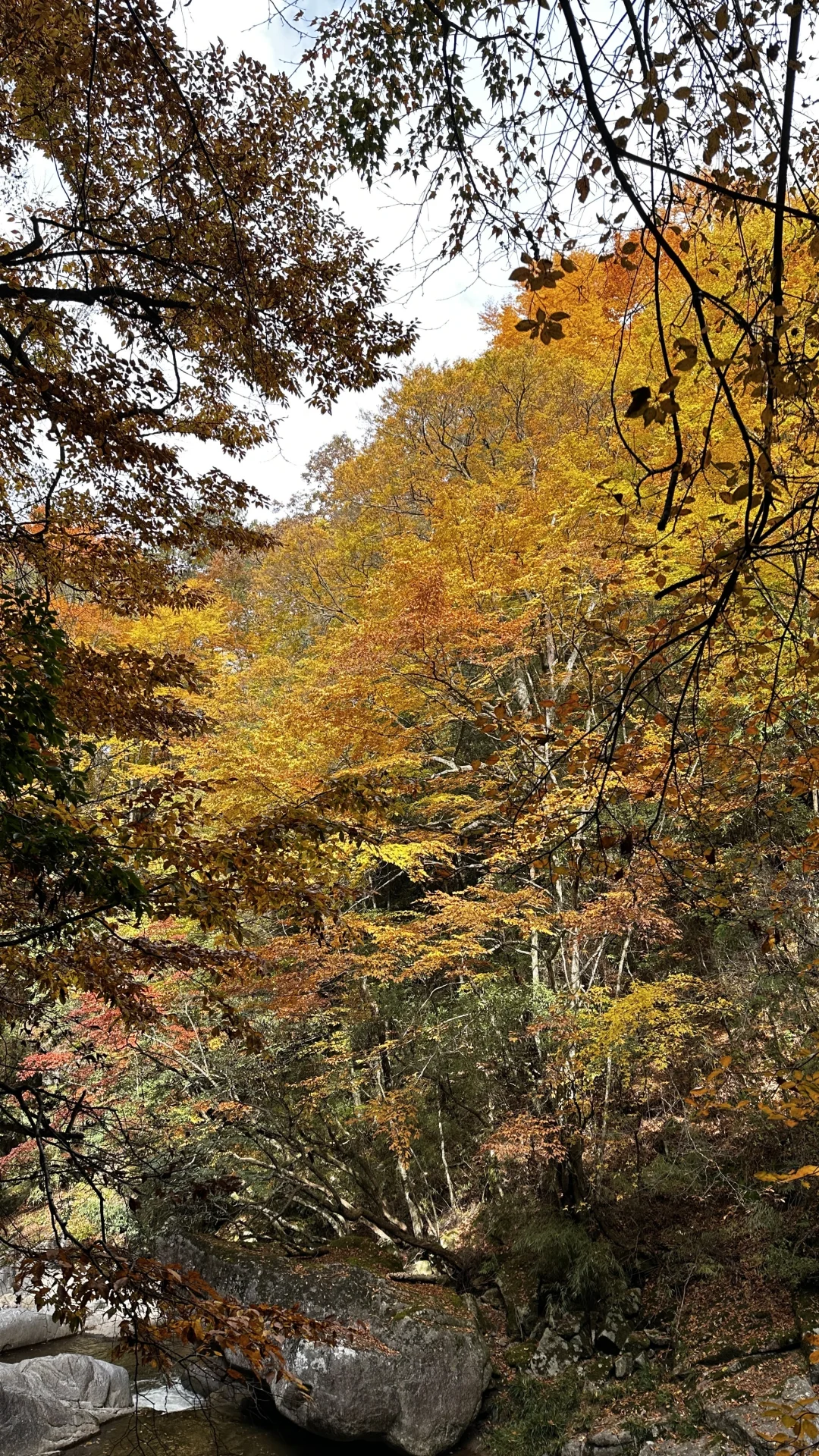 11.2 原图直出的十八月潭