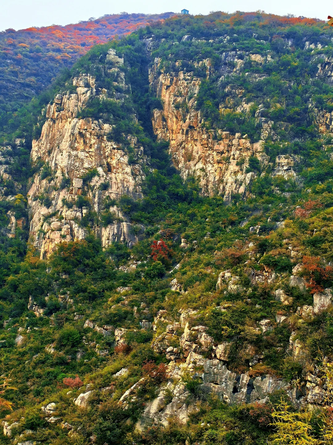 秋日佛照山赏红叶