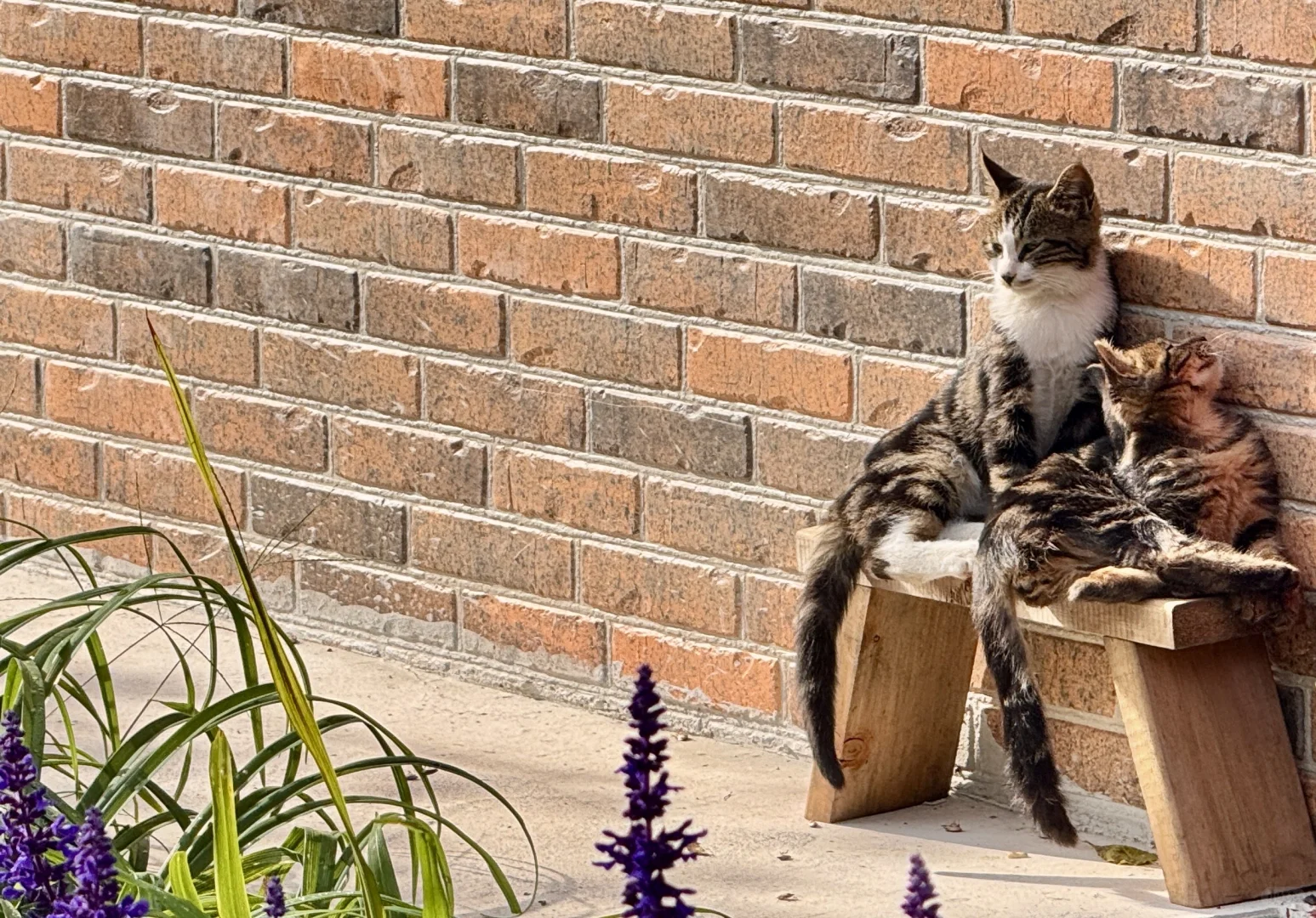 碓臼石康养休闲基地