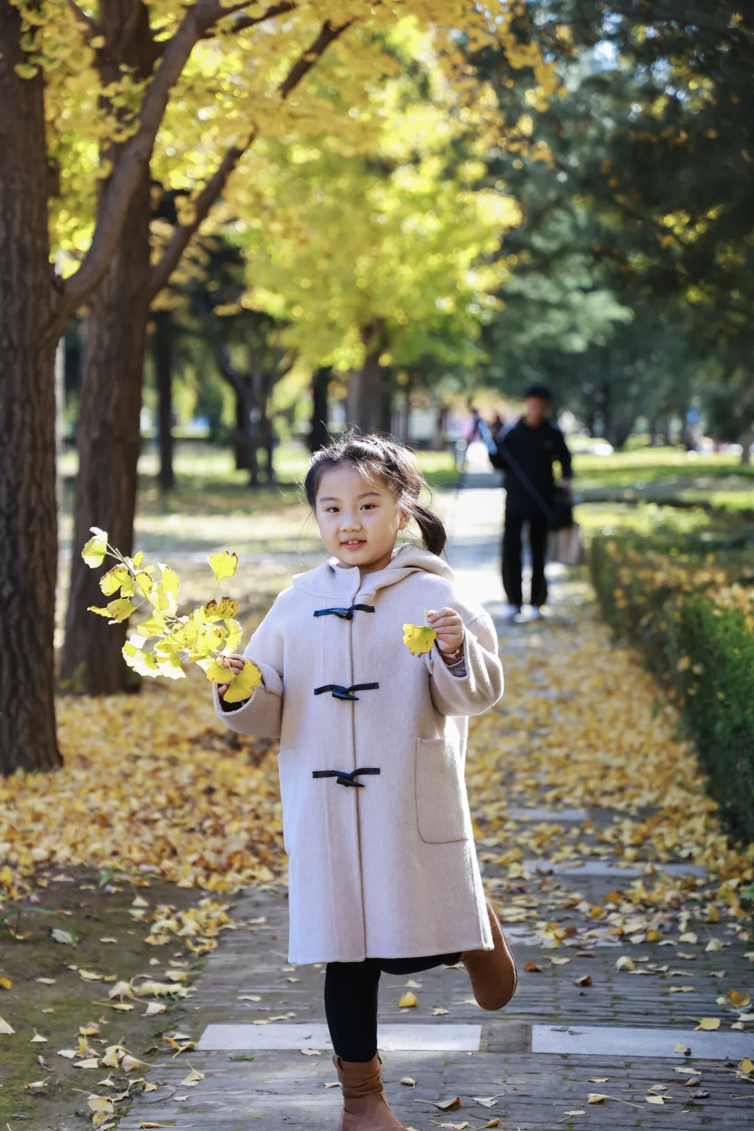 寿光弥河景区秋色正浓--银杏大道