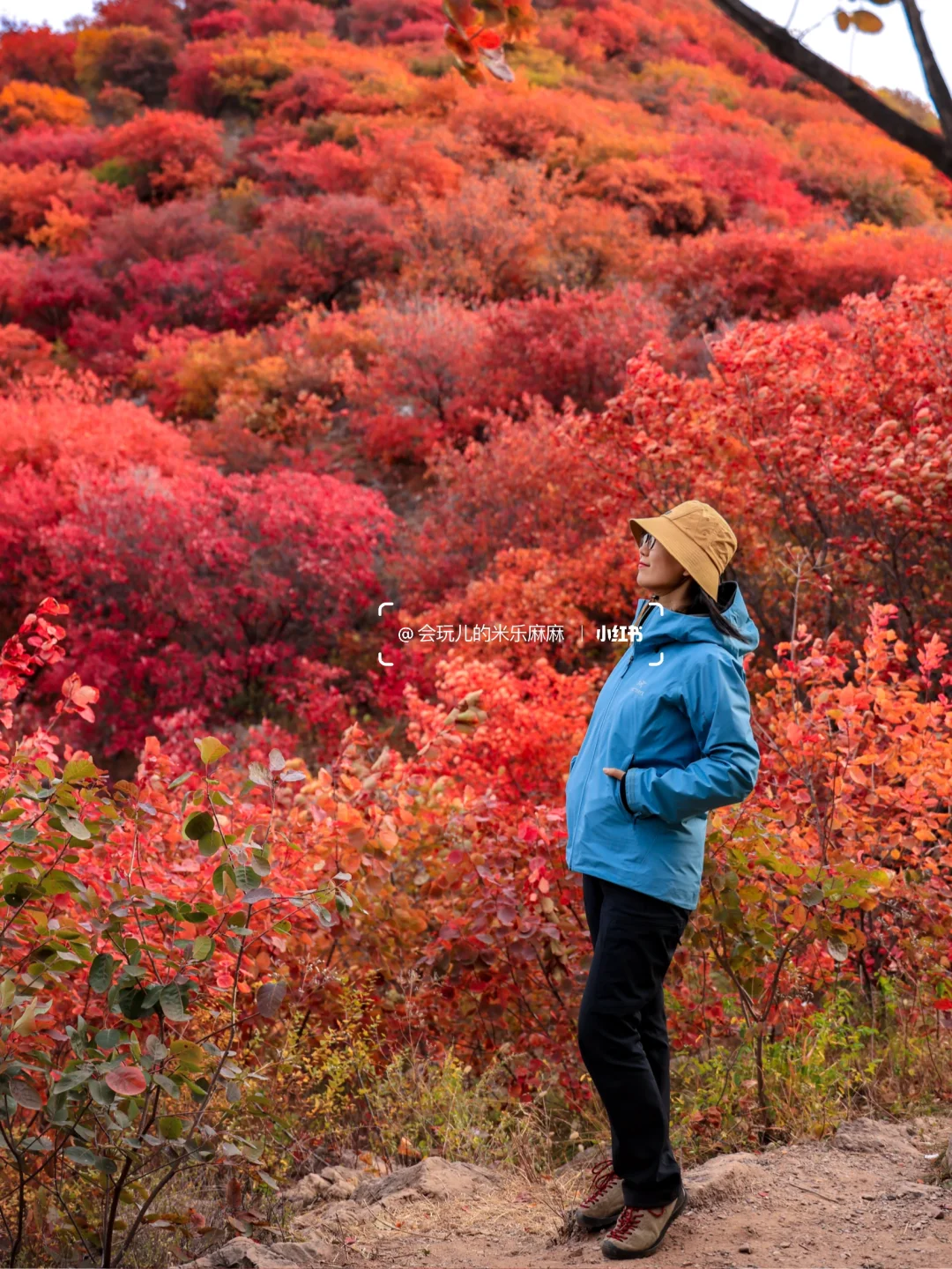 10.27北京五花山打翻调色盘!🎨老幼皆宜路线