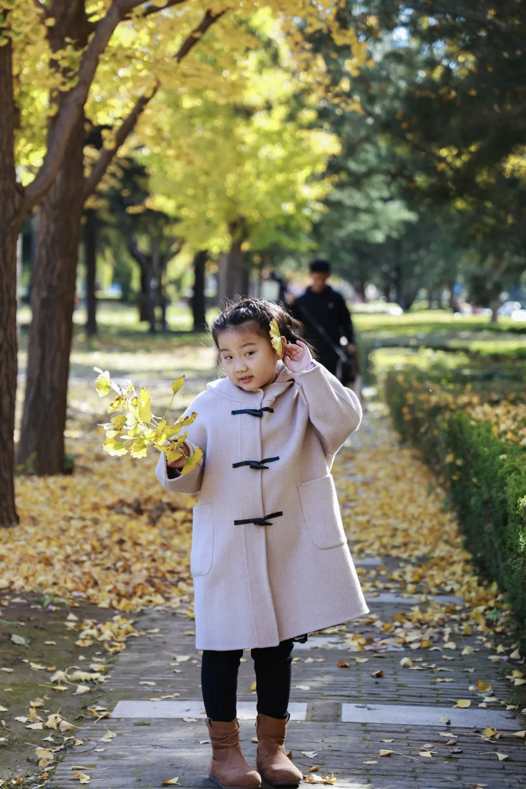 寿光弥河景区秋色正浓--银杏大道