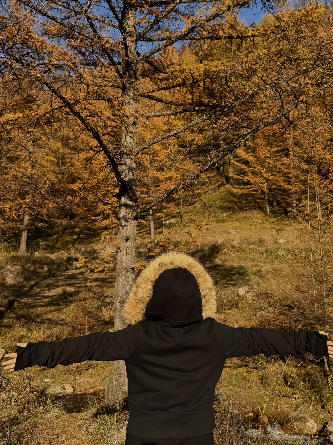 芦芽山🍁｜山西版阿勒泰秋天是最浪漫的季节