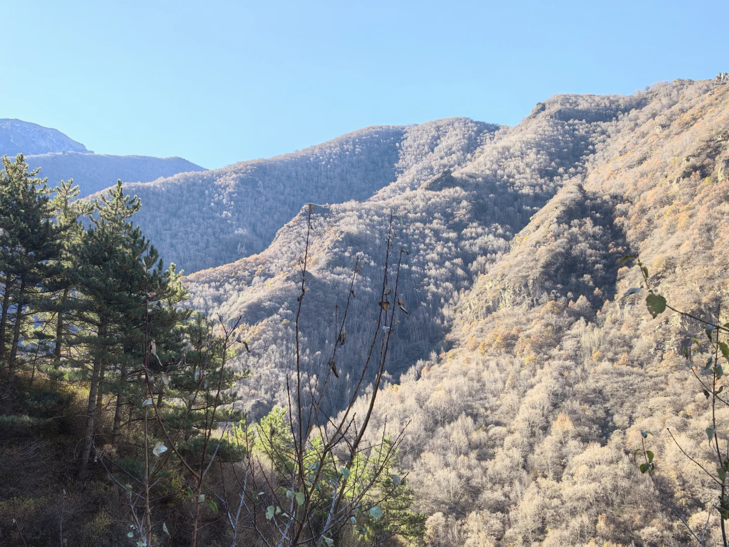小五台山金河景区塔林