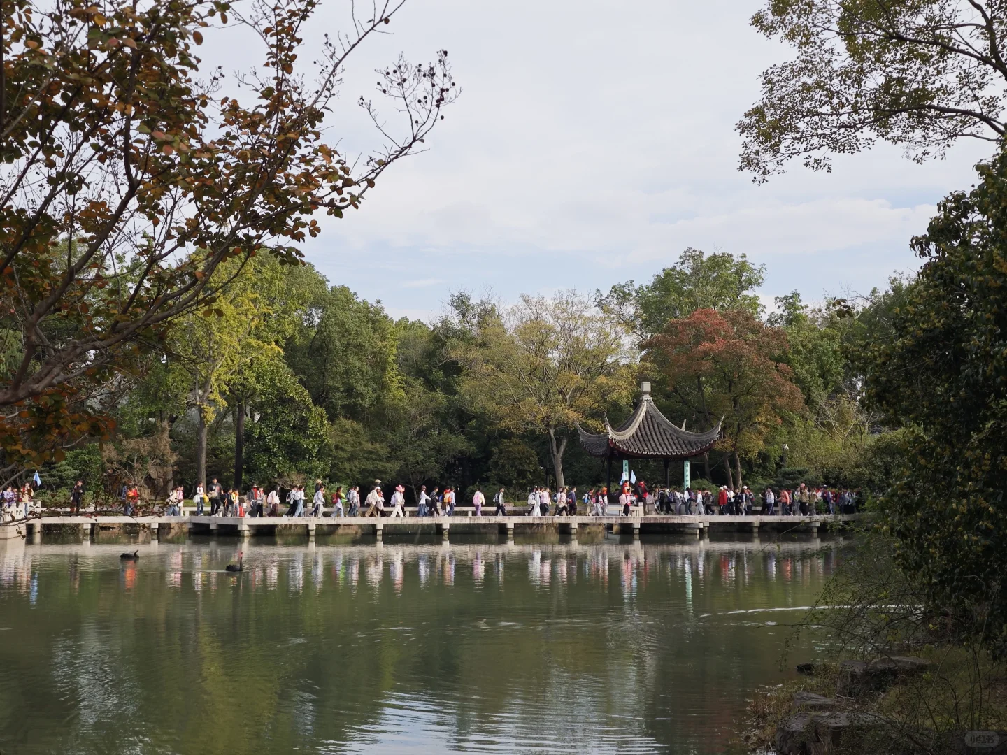 虎丘/小学生秋游?