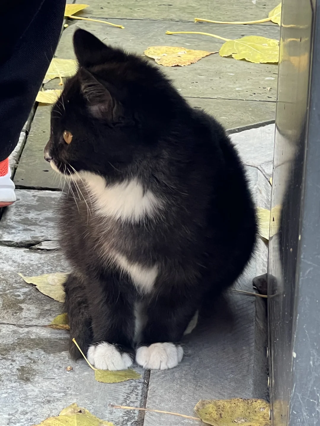 秋日和太原晋祠不要太搭❤️