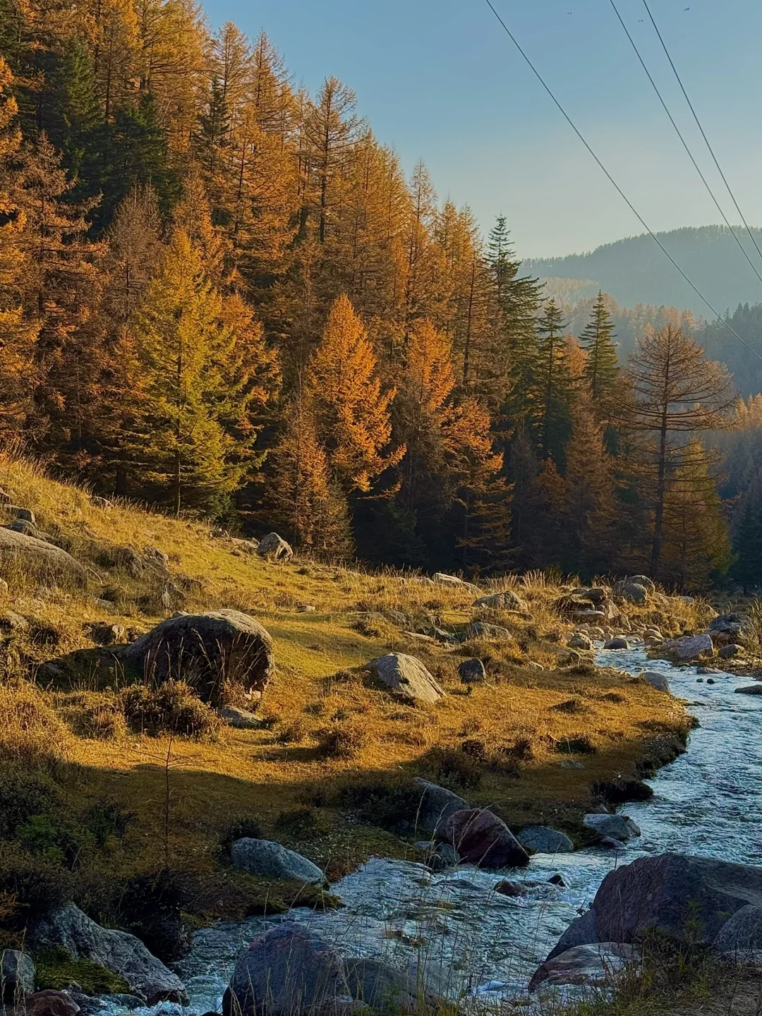 芦芽山🍁｜山西版阿勒泰秋天是最浪漫的季节