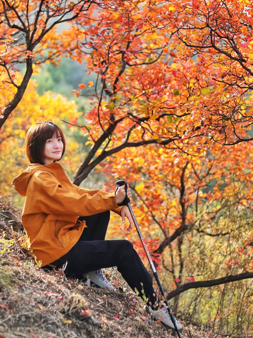 北京30分钟登顶‼️无痛赏红叶🍁公交直达