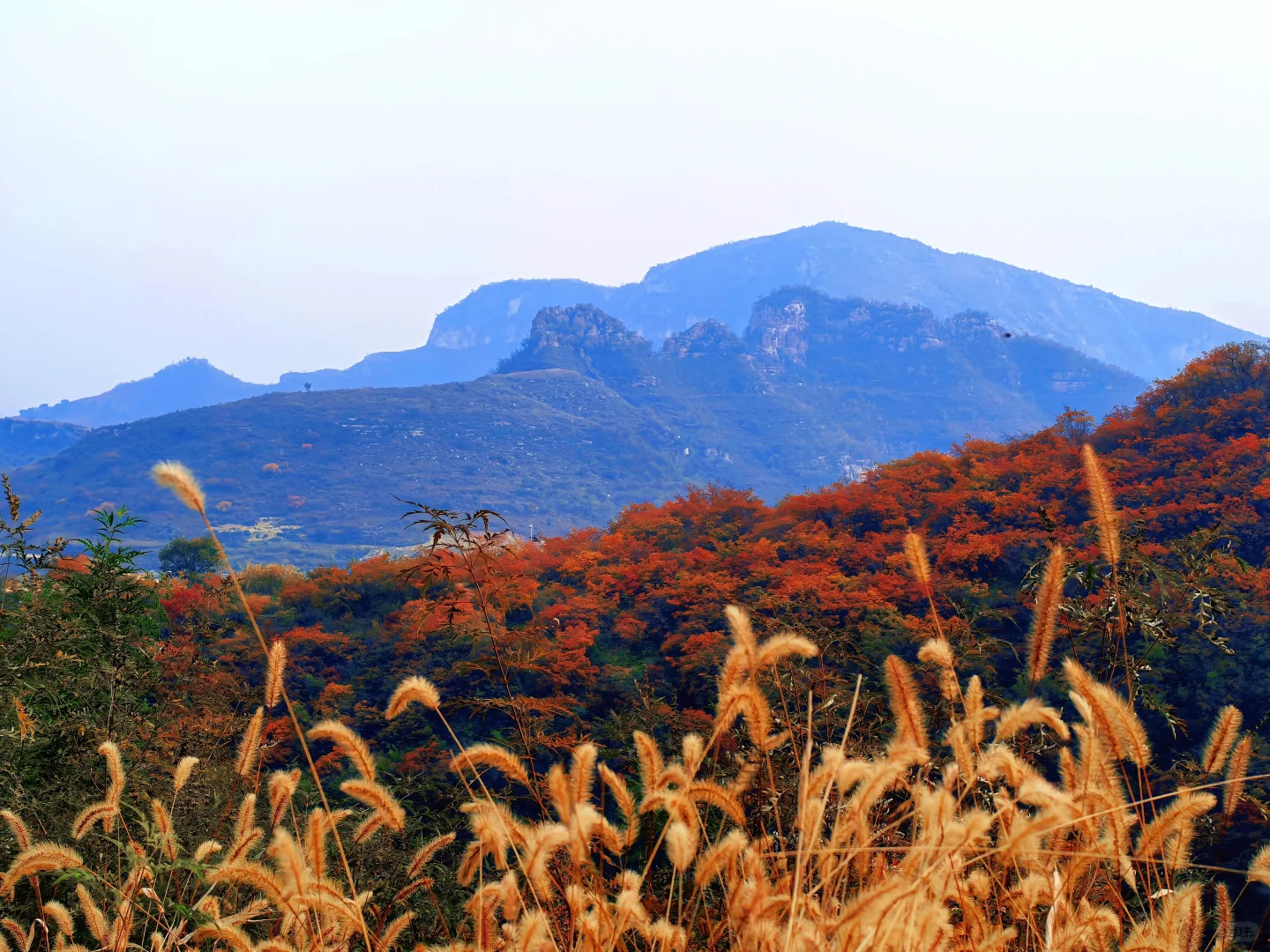 秋日佛照山赏红叶