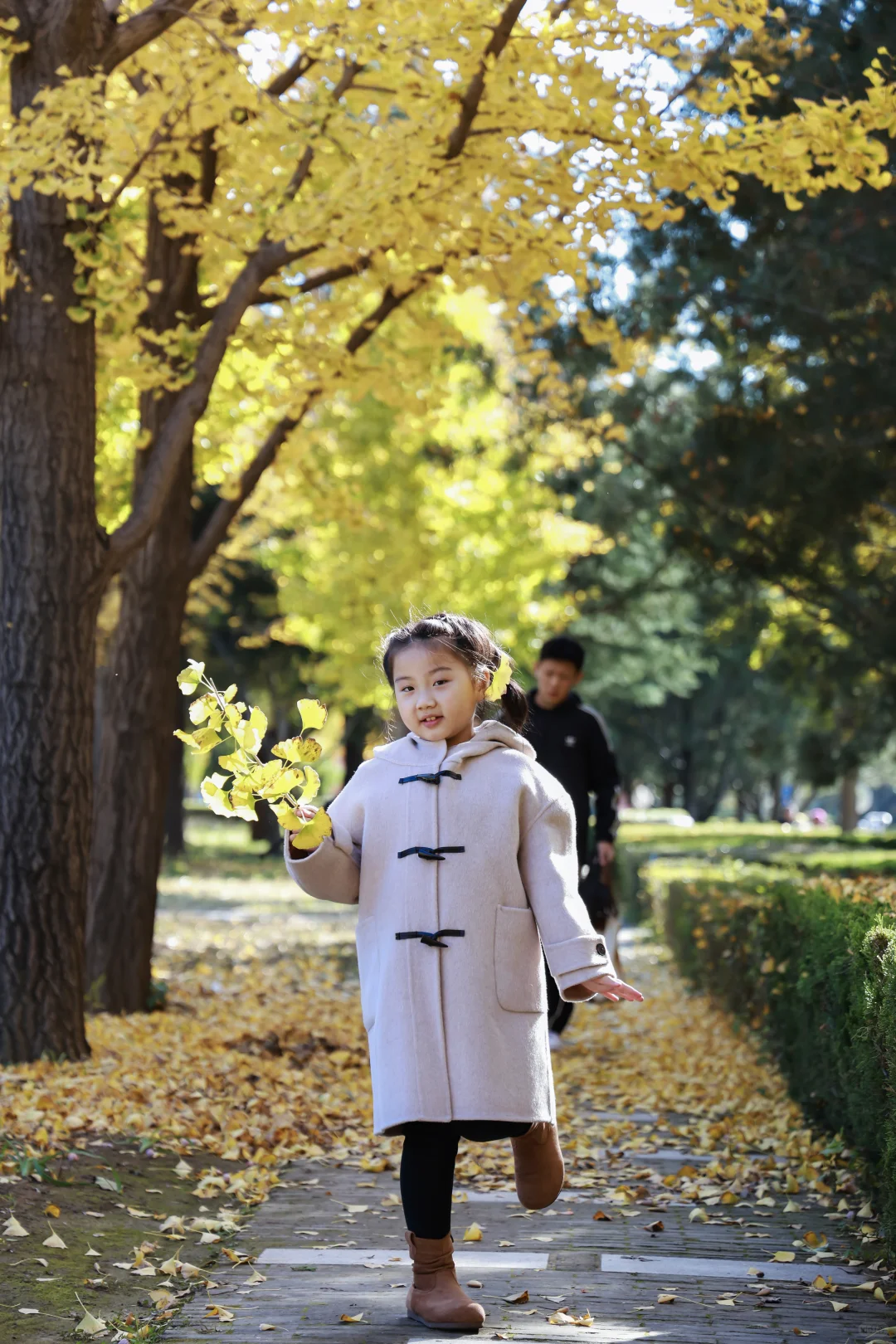 寿光弥河景区秋色正浓--银杏大道