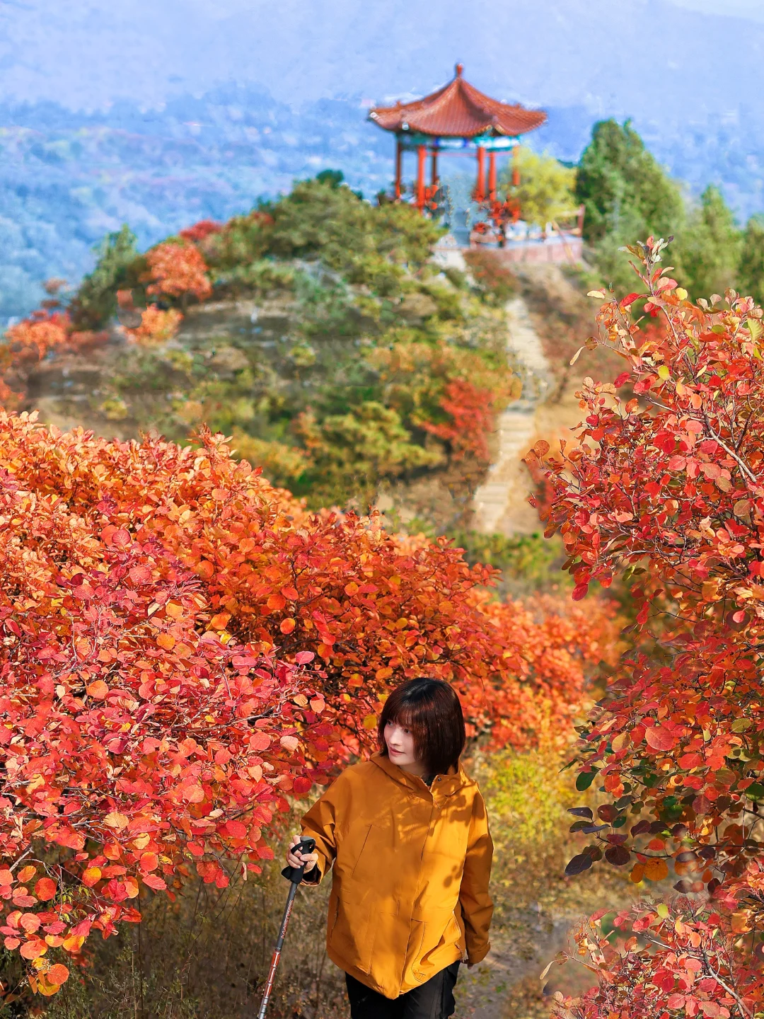 北京30分钟登顶‼️无痛赏红叶🍁公交直达