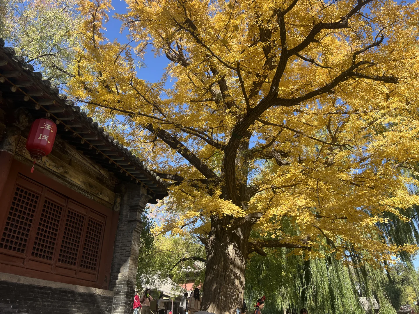 秋日和太原晋祠不要太搭❤️
