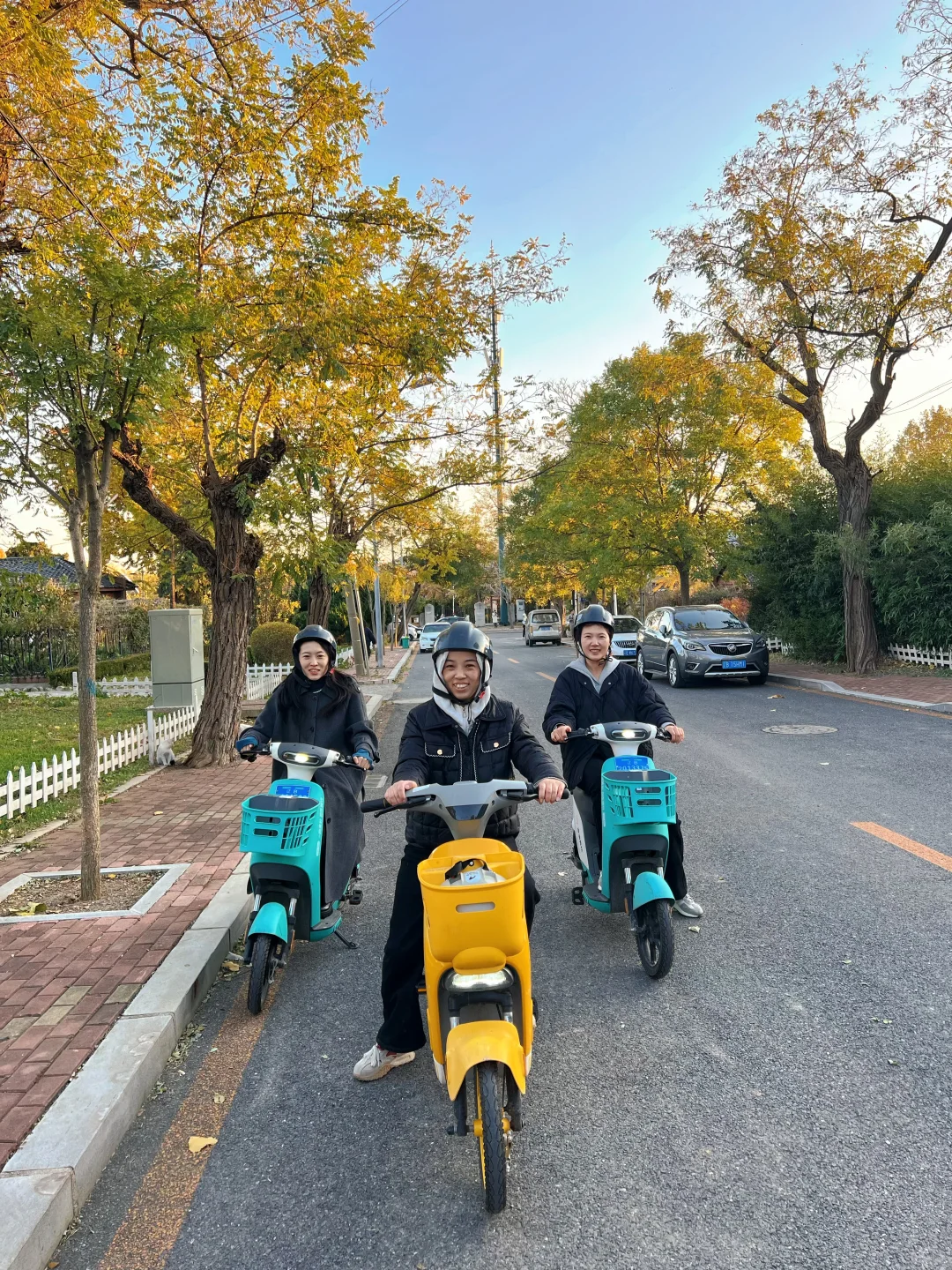 旅顺太阳沟拍银杏叶啦，11.2日实况
