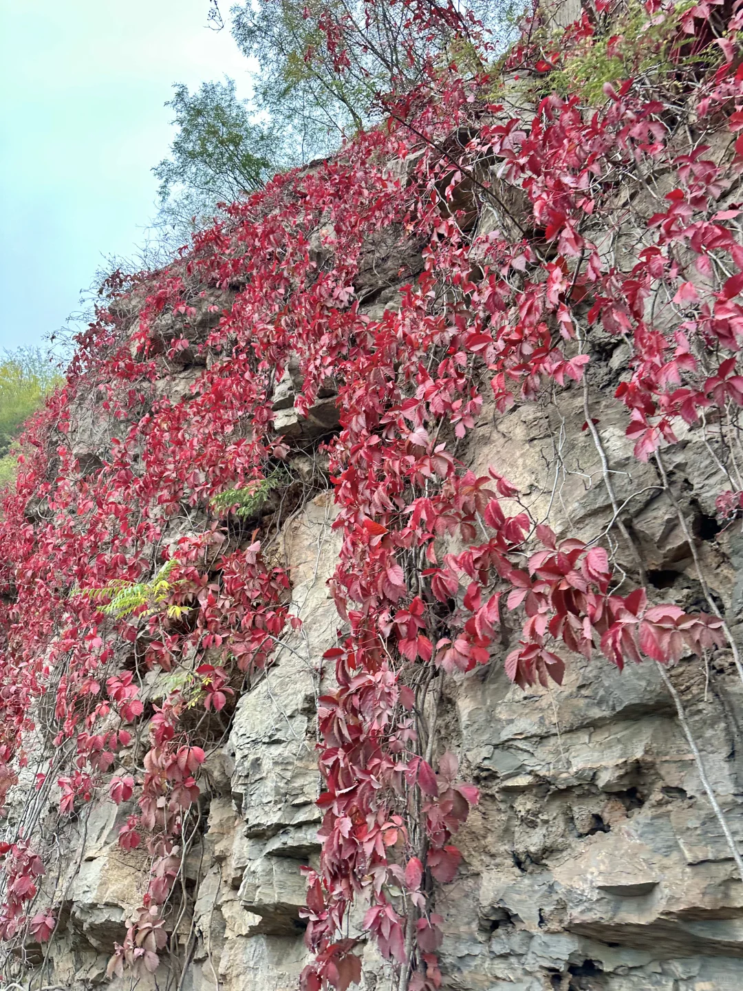 石家庄1️⃣日小众赏秋🍂路线，去山野⛰️看自然