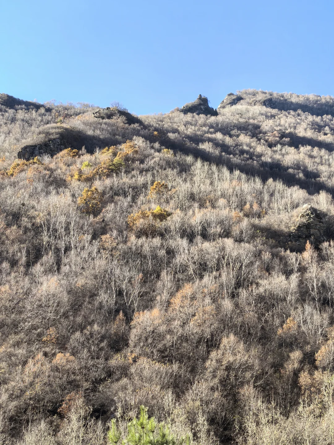 小五台山金河景区塔林